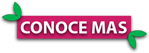 logo pj, foods conocemas